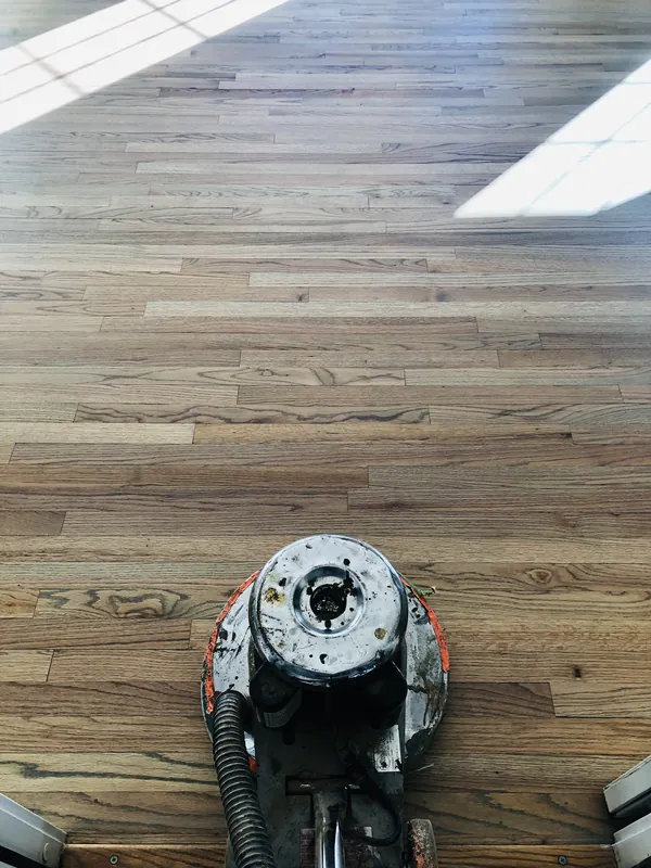 Floor buffer working across freshly finished red oak flooring in bright window light