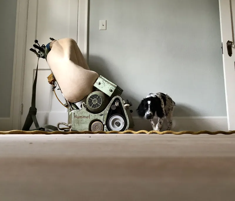 Floor buffer and hose on richly stained golden oak flooring casting a long shadow